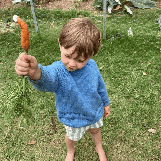 Preparing Your Veggie Garden for Cool Weather