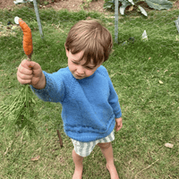 Preparing Your Veggie Garden for Cool Weather