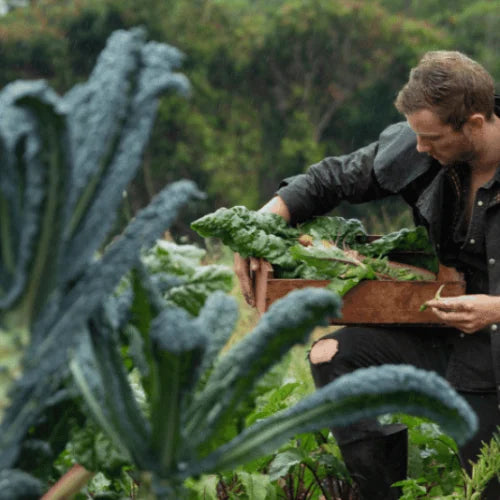 Australia's Gardening Climate Zones