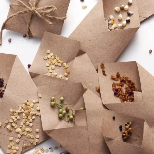 Grow Rare Heirloom Seeds And Experience Unique Flavours