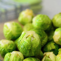 Grow Brussel Sprouts