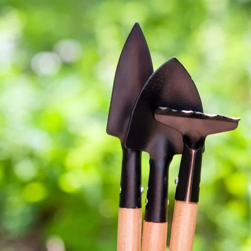 Top Must-Have Items For Australian Preppers: Gear For The Unique Challenges Down Under