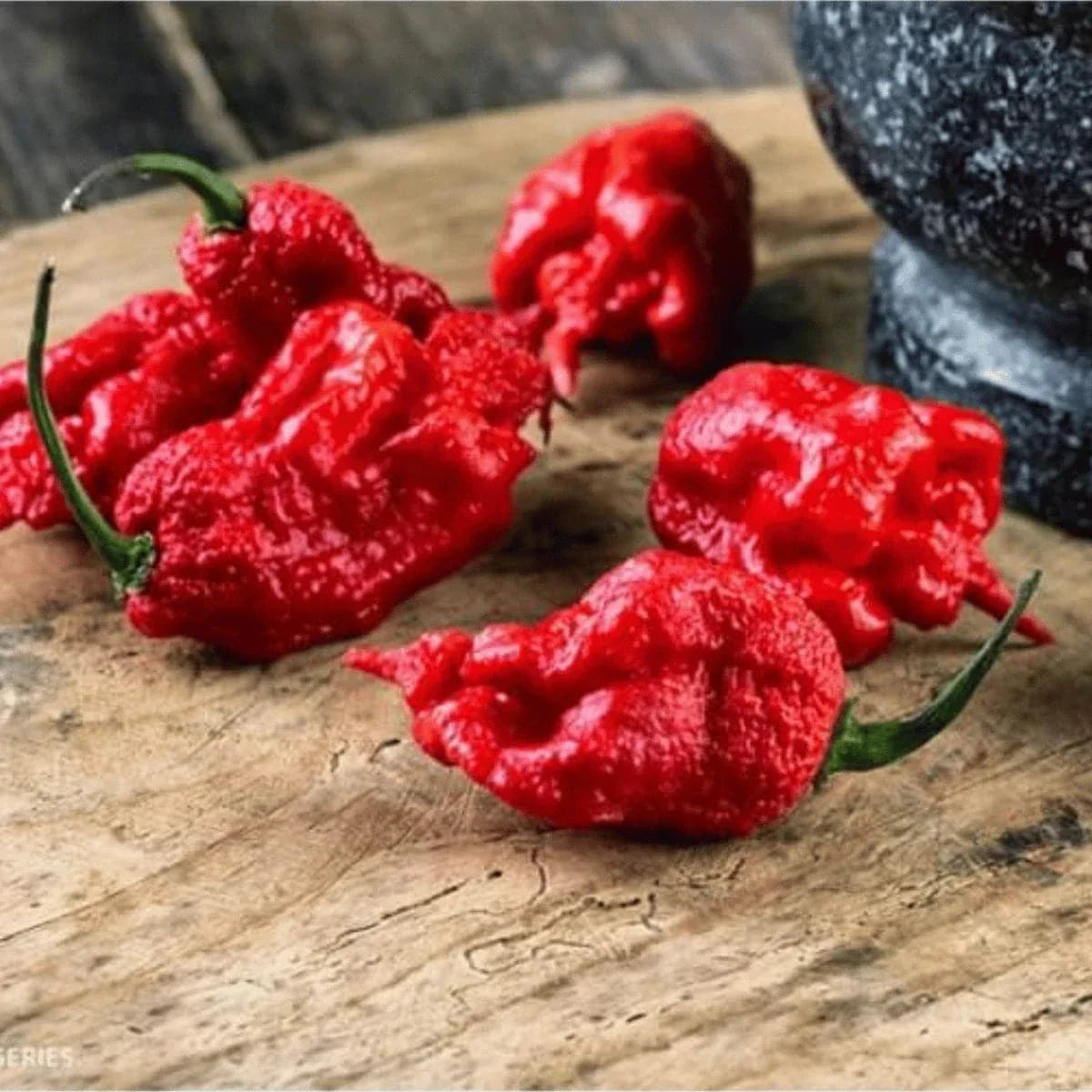 Carolina Reaper Chilli from Chilli Seeds