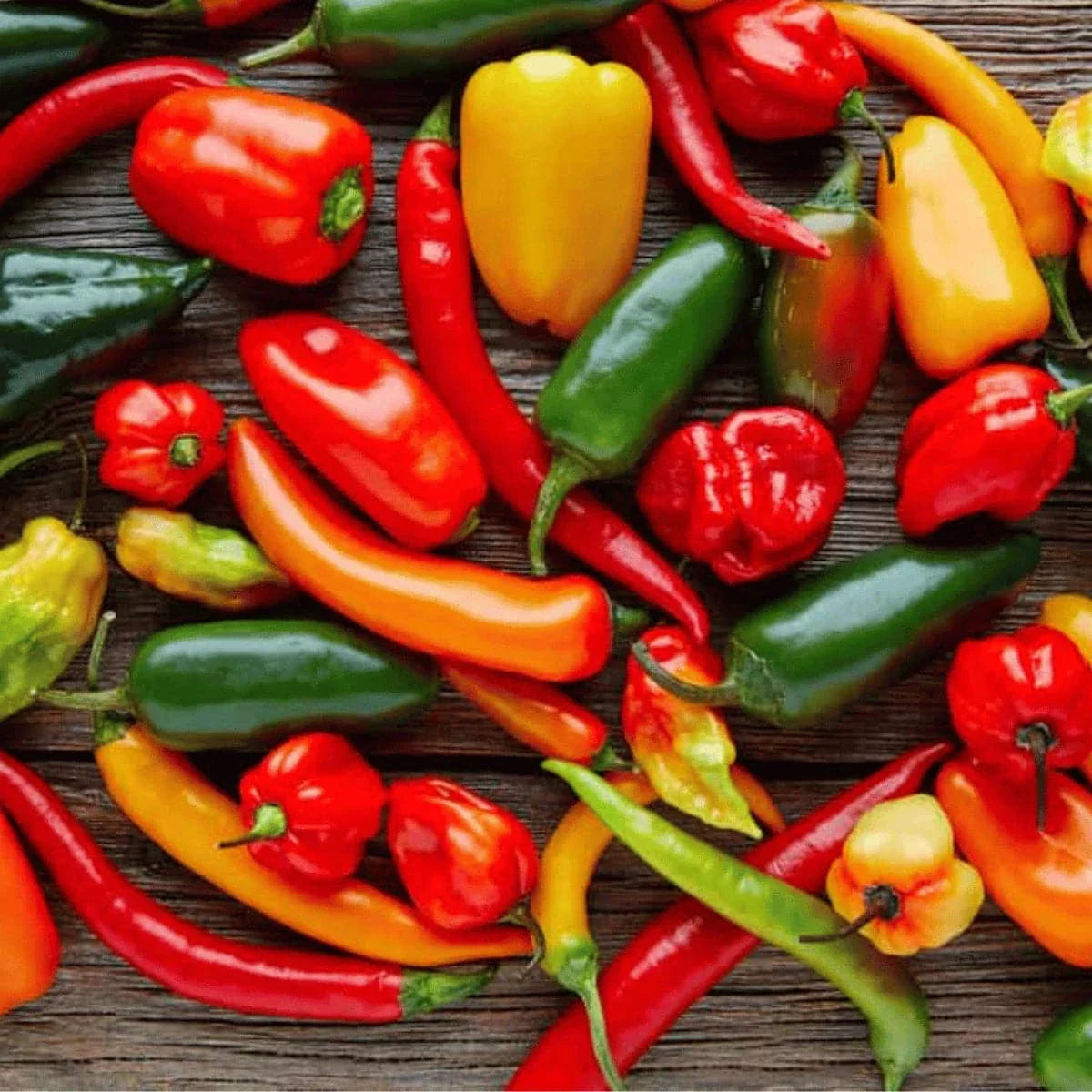 Mixes Chillies from Chilli Seeds