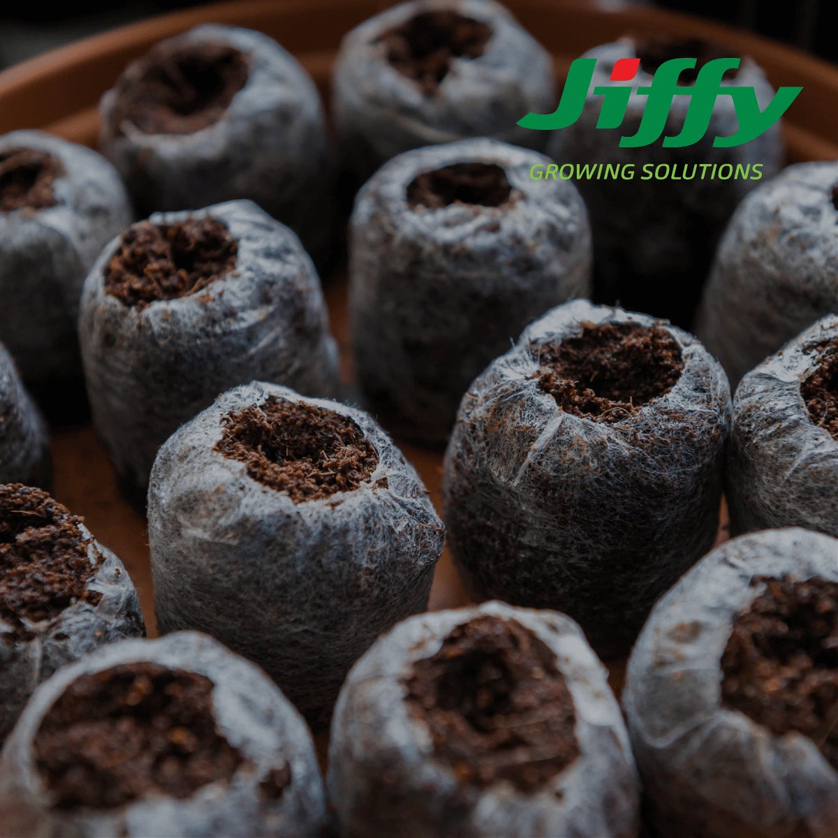 Coir Pellets