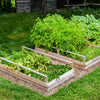 Eco Friendly Garden