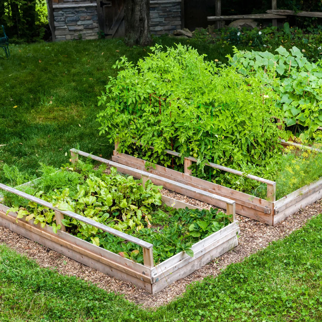 Eco Friendly Garden