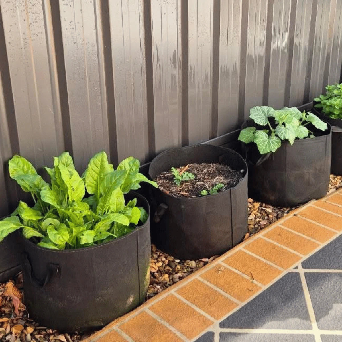 Grow Bags