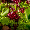 lettuce leaves