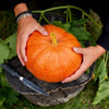 hand holding pumpkin