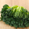green tatsoi leaves