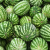 watermelons