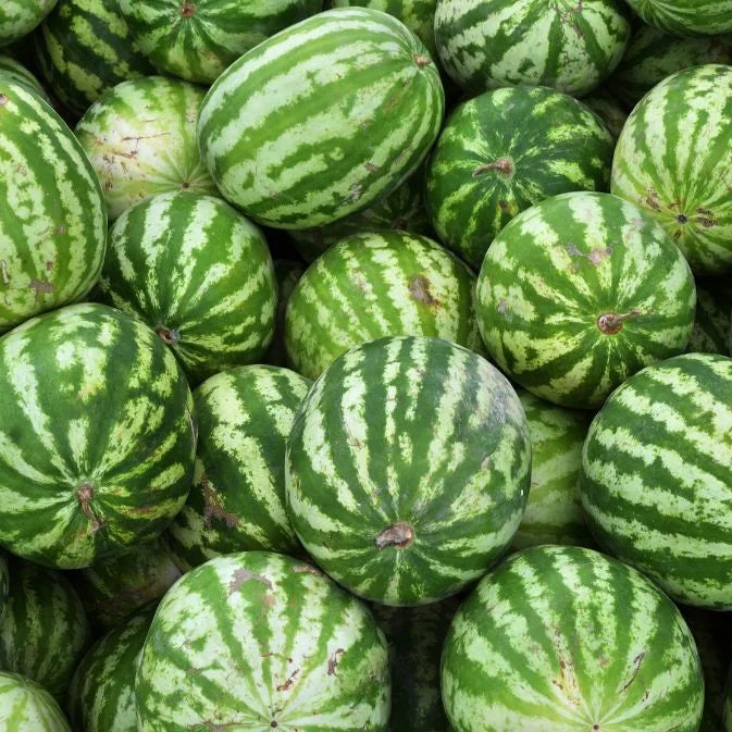 watermelons