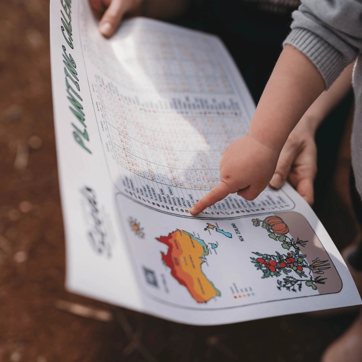 PVC Planting Calendar