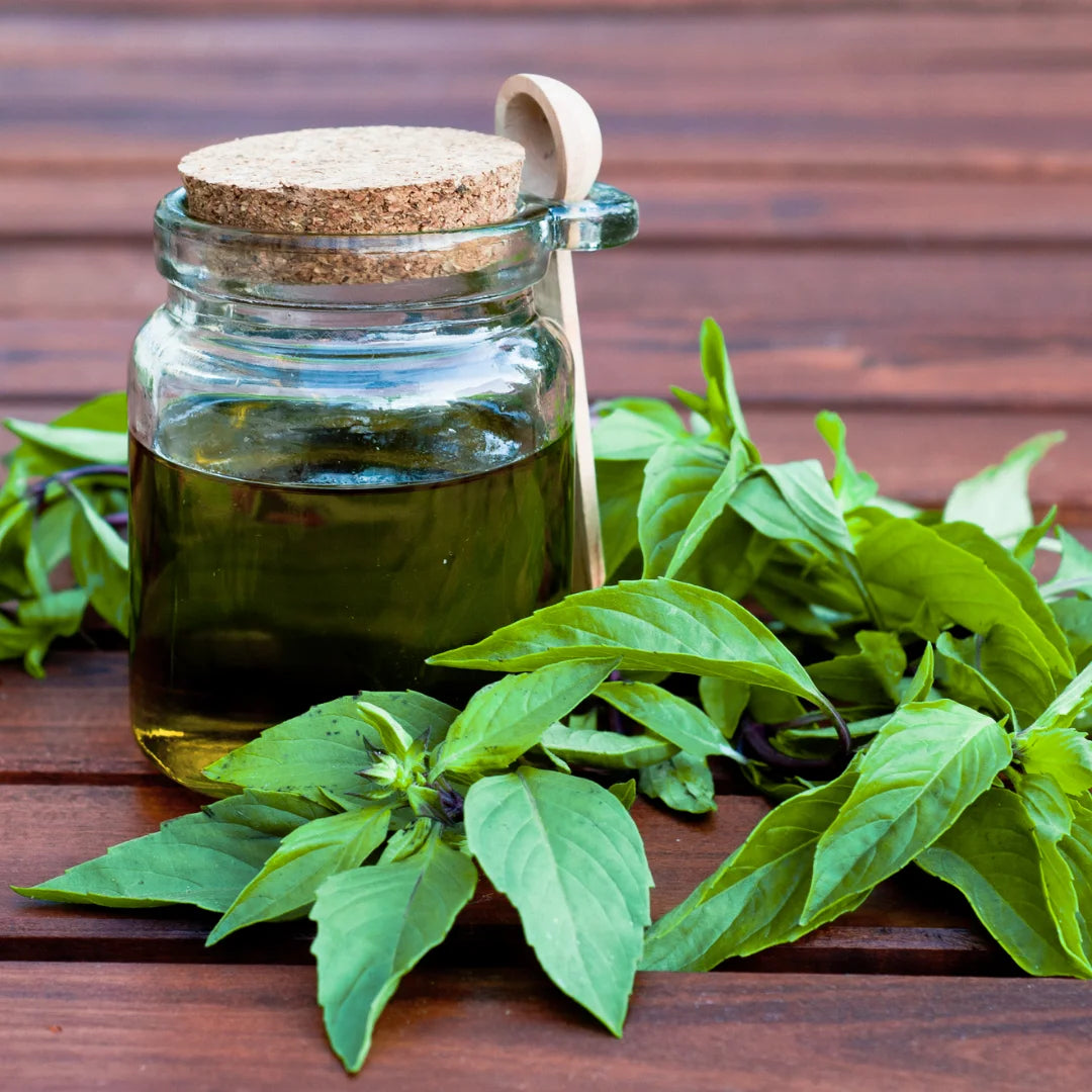 basil in a jar