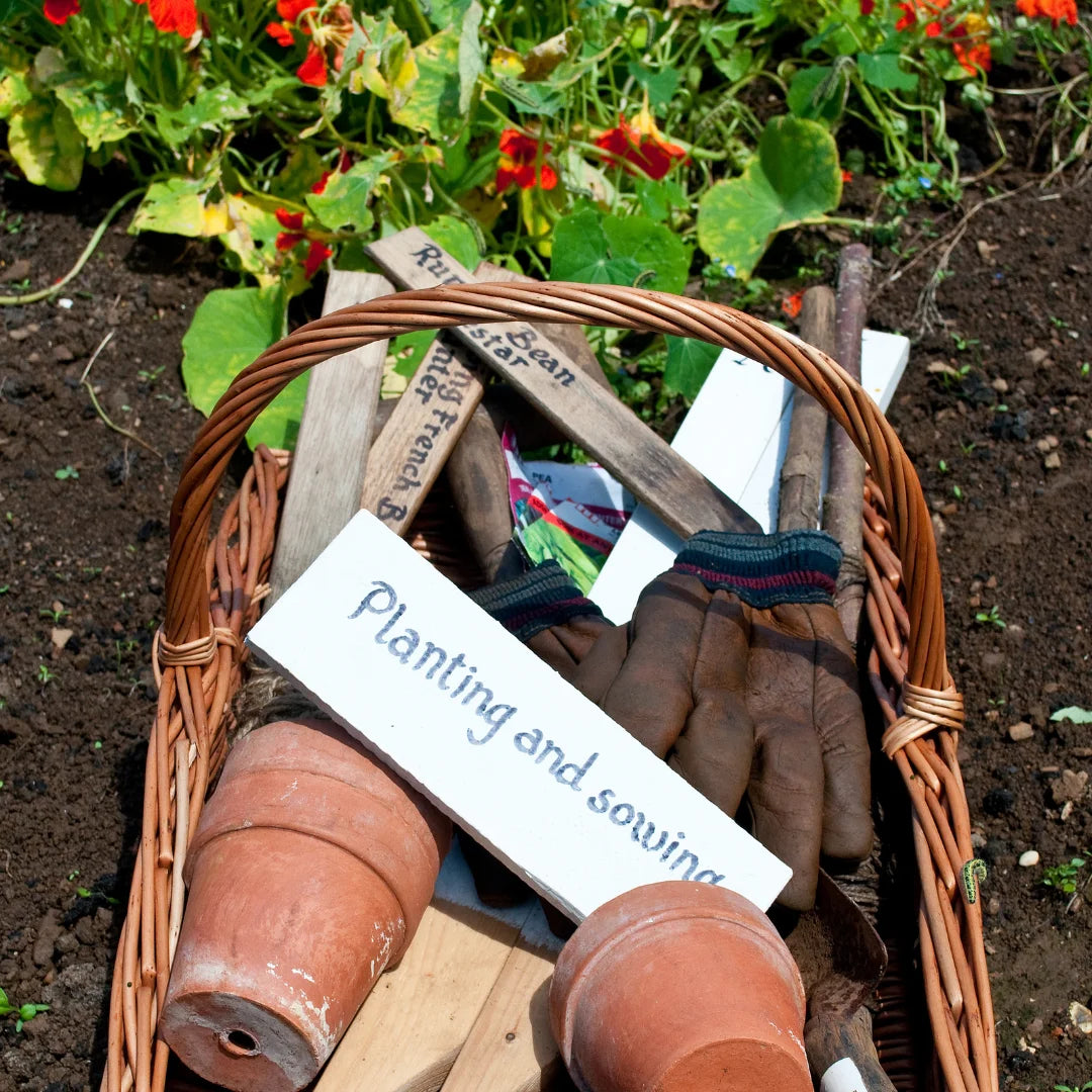 planting gift basket