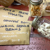 heirloom seed beans in a jar