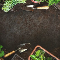 Preparing For The Worst: Starting Your Own Survival Garden