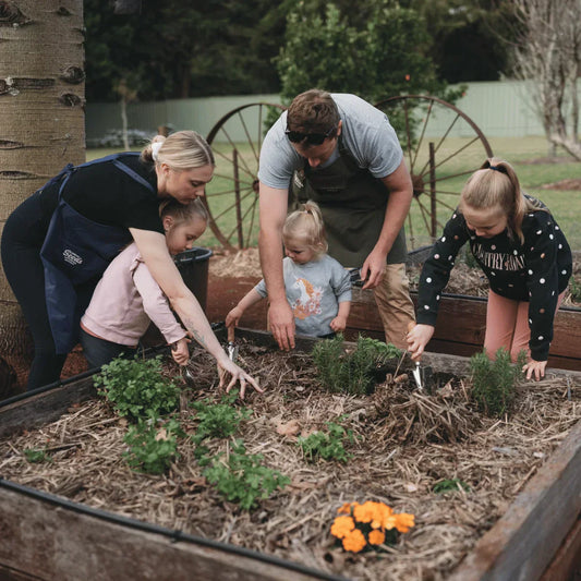 Transplanting Seedlings: When to Move Them and How to Do It Without Shock