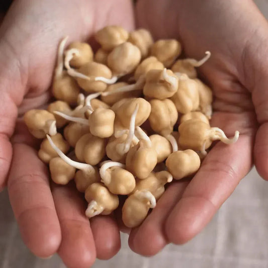 A Simple Guide to Sprouting Seeds Safely
