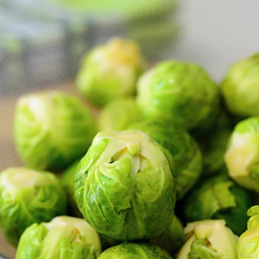 Grow Brussel Sprouts