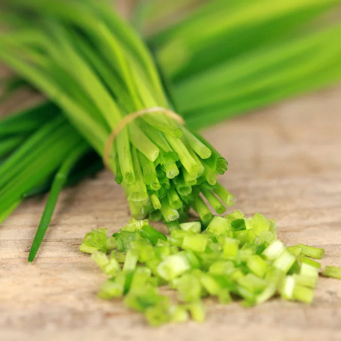 Growing Chives