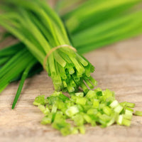 Growing Chives