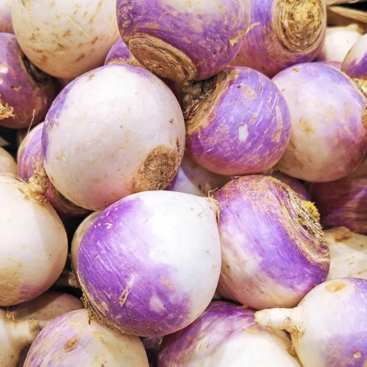 How to Grow Turnip