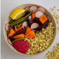 Protein Sprouts Buddha Bowl
