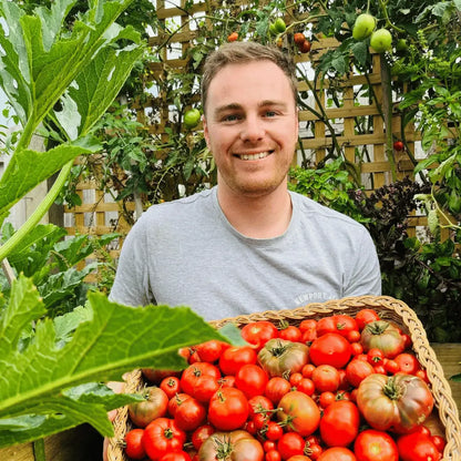 Man smiling in a garden, holding a basket filled with ripe tomatoes, surrounded by thriving plants.