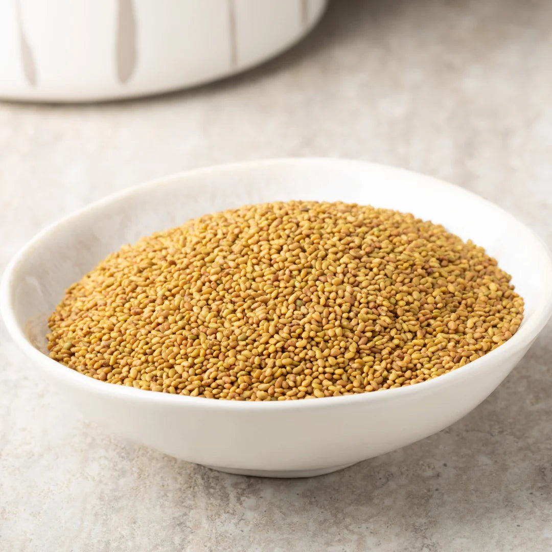 Alfalfa Sprouting Seeds