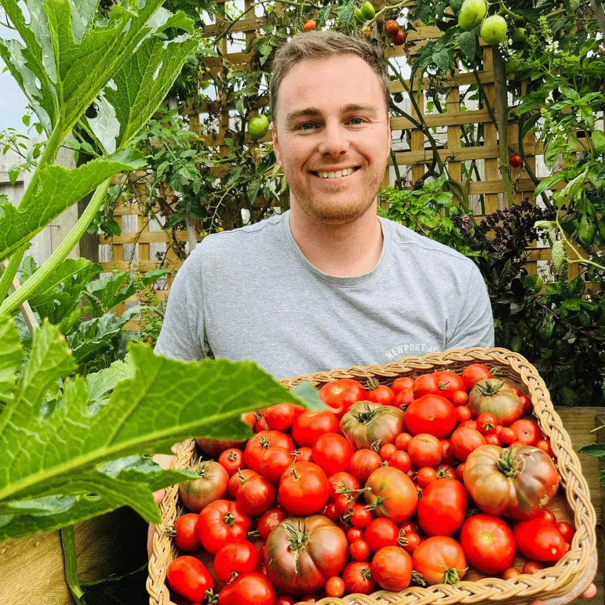 Man holding Heirloom Tomatoes from Tomato Seeds