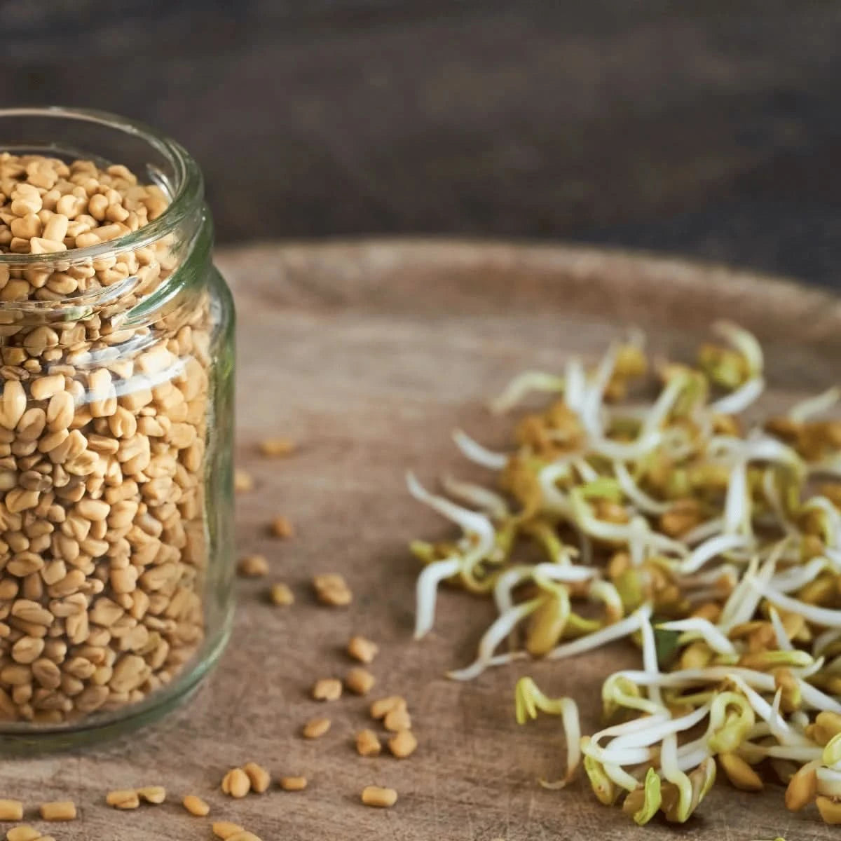 A Simple Guide to Sprouting Seeds Safely