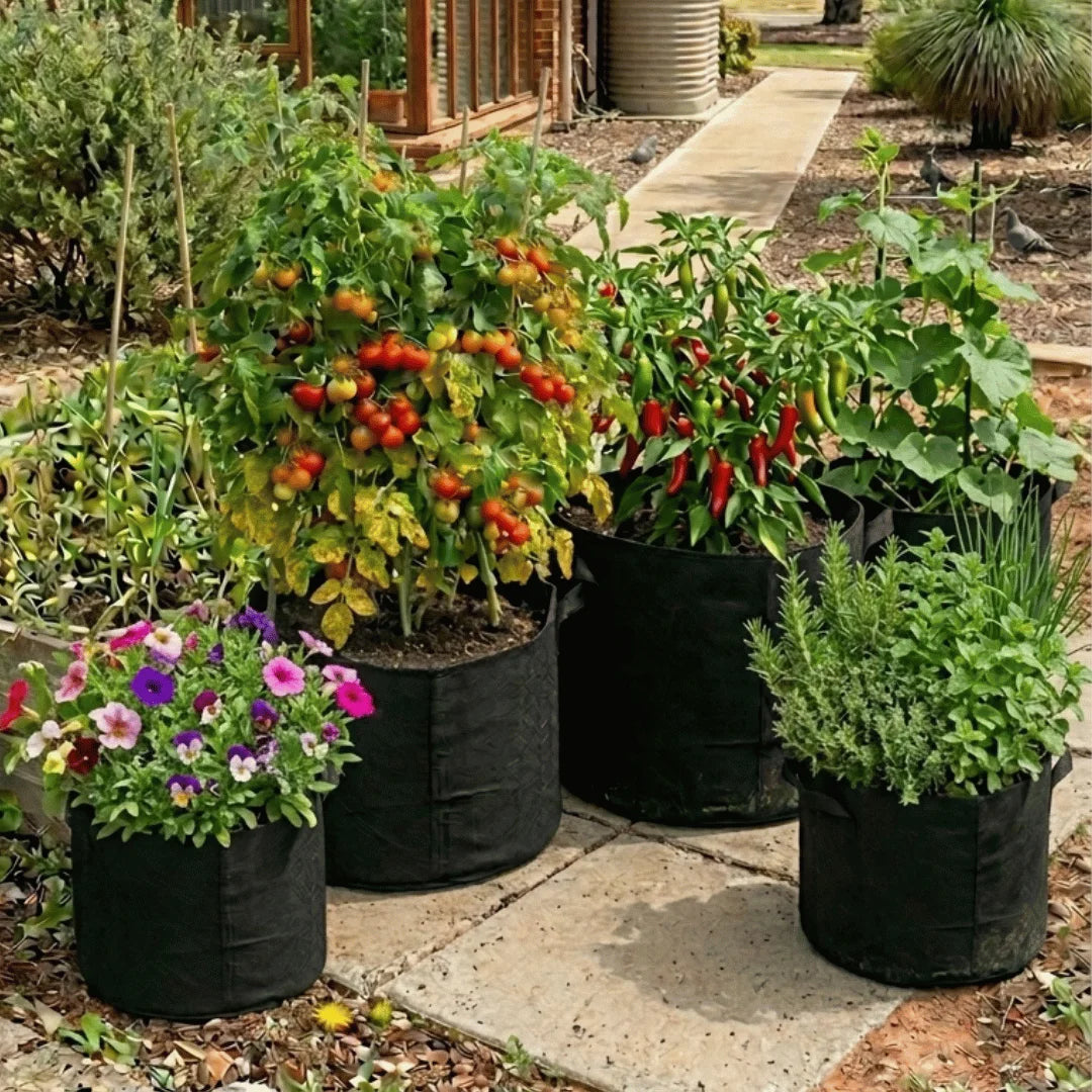 Grow Bags