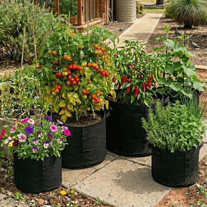 Grow Bags