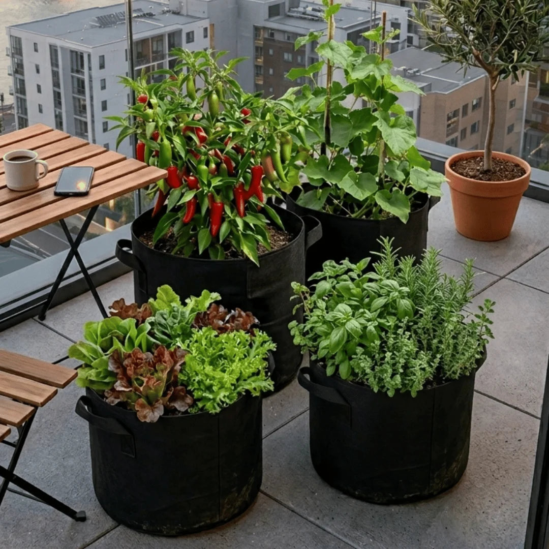 Grow Bags