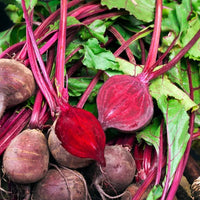 An image for an article about How to grow Beetroot.