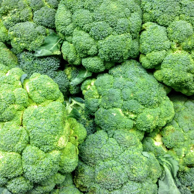 How to Grow Broccoli
