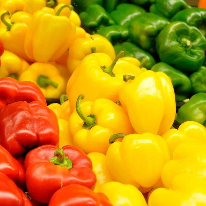 How to Grow Capsicum
