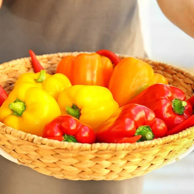 How to Grow Capsicum