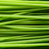 chives onion