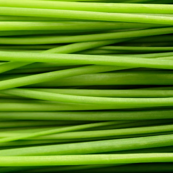 chives onion