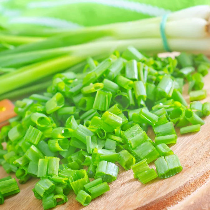 Growing Chives