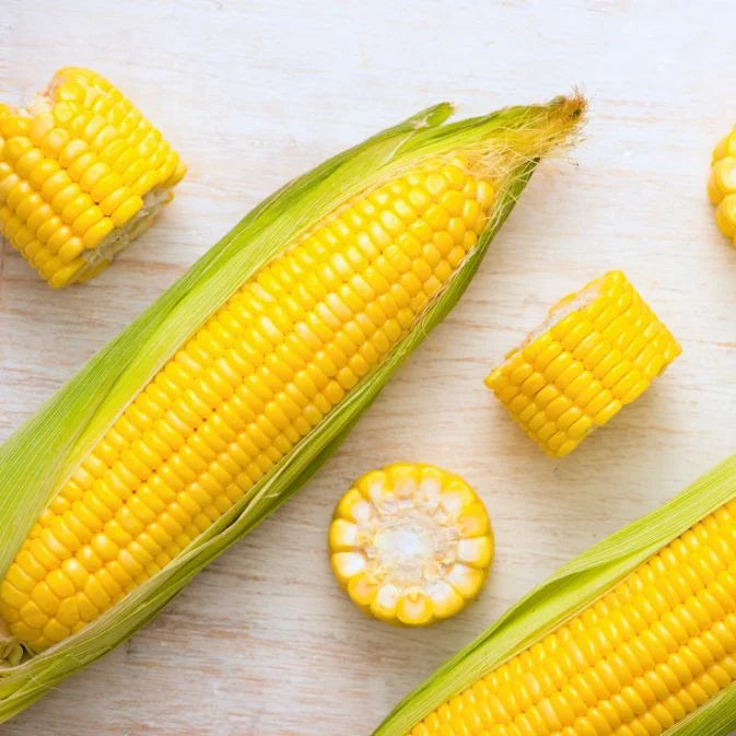 How to Grow Corn