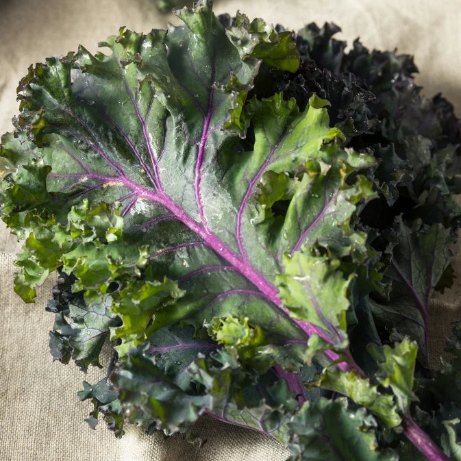 How to Grow Kale