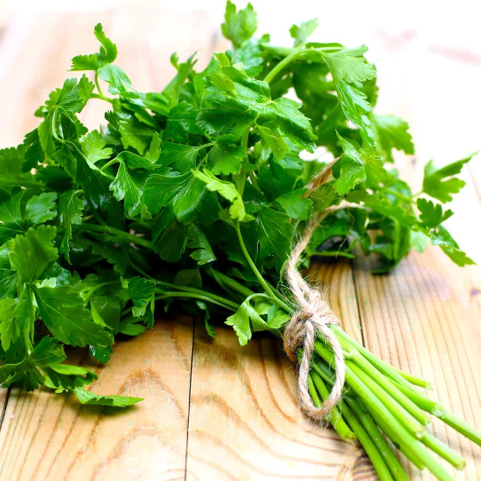 Growing Parsley