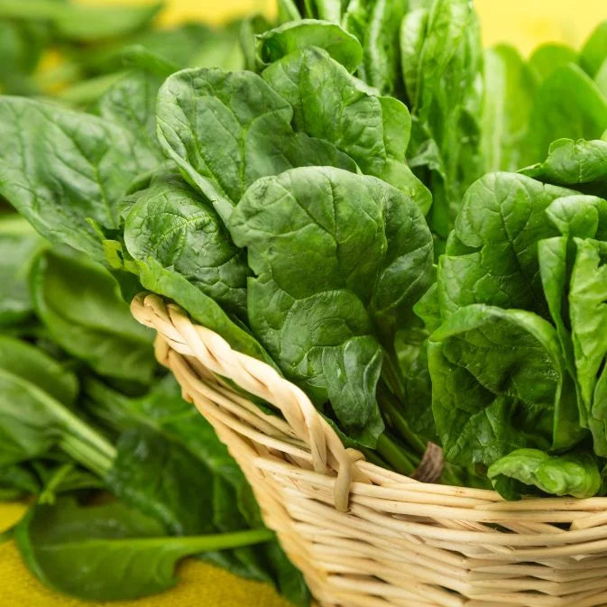 How to Grow Spinach