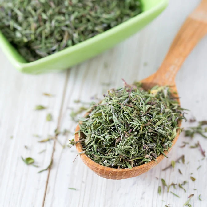 Growing Thyme