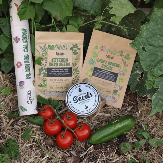 Kitchen Garden Bundle