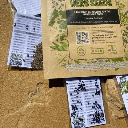 close up kitchen herb seeds